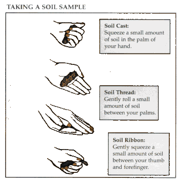 Taking a Soil Sample